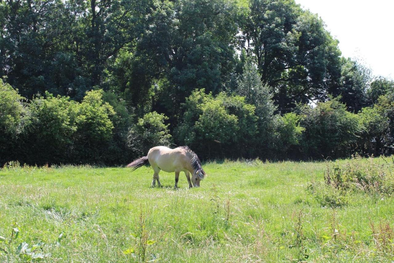 La Ferme De La Croix Villa Saint-Quentin-Lamotte-Croix-au-Bailly Eksteriør bilde
