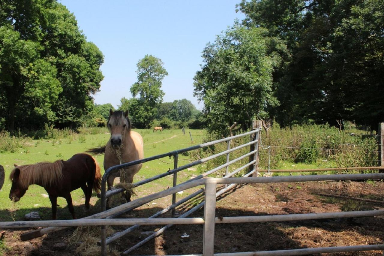 La Ferme De La Croix Villa Saint-Quentin-Lamotte-Croix-au-Bailly Eksteriør bilde